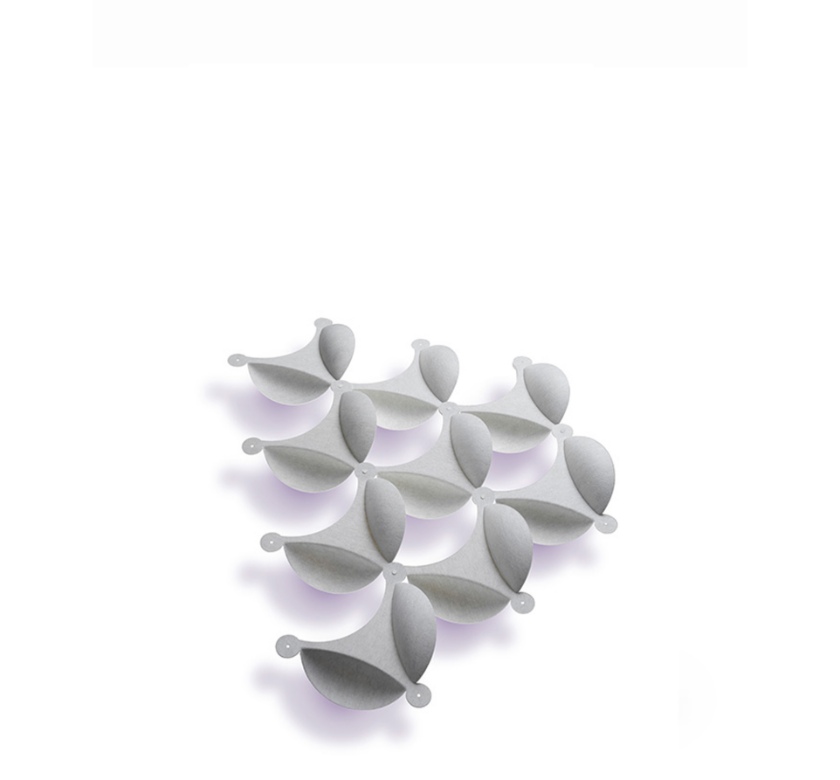 Membrane_Virto2.jpg