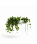 Green pedestals