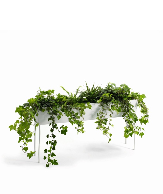 Offecct_Greenplant1200_Virto.jpg