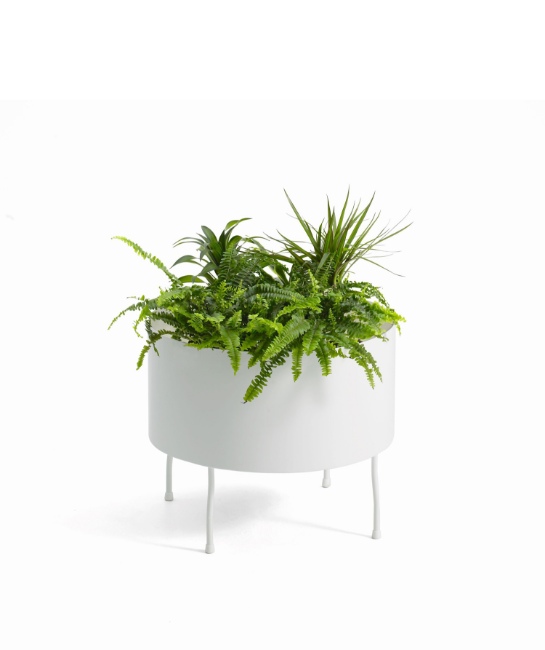 Offecct_Greenplant_Virto.jpg