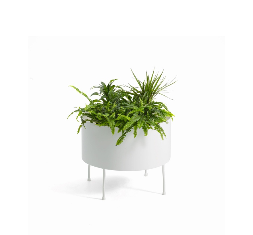 Offecct_Greenplant_Virto.jpg