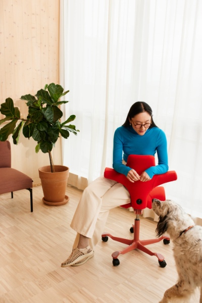 HAG-Capisco-Office_Bow_001.jpg