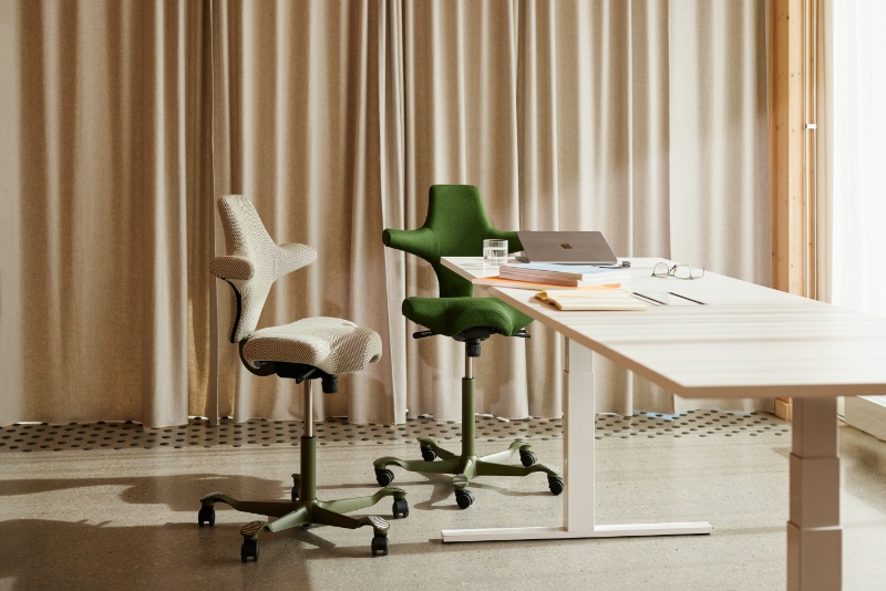 HAG-Capisco-Office_Bow_013.jpg