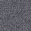 Grau EXR081